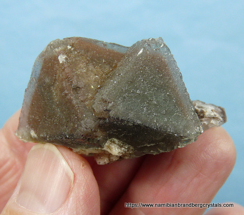 Phantom fluorite crystals on matrix