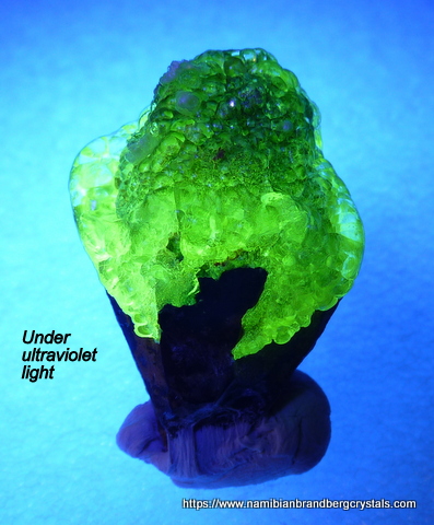 Beautiful botryoidal hyalite opal on smoky quartz crystal