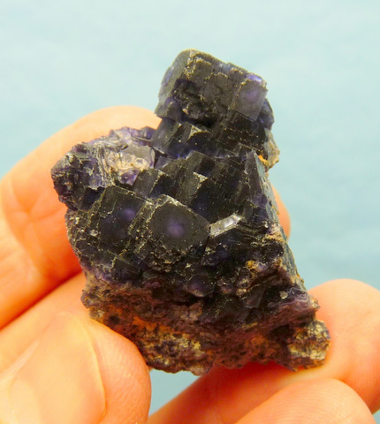 A group of dark purple fluorite crystals on matrix