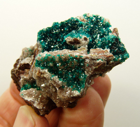 Small, drusy, gemmy dioptase and calcite crystals on matrix