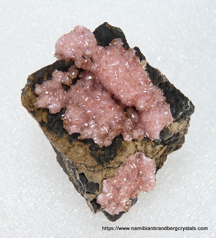 Two-tone rhodochrosite crystals on matrix