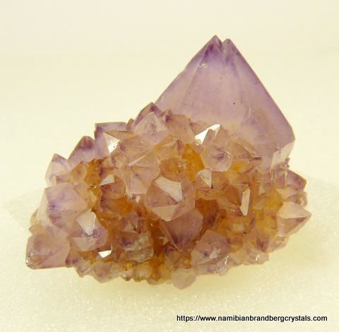 Amethyst cactus quartz crystal group