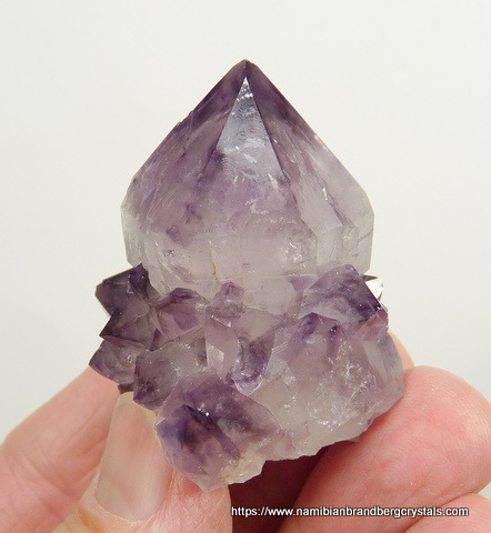 Stunningly beautiful amethyst cactus quartz crystal with inclusions
