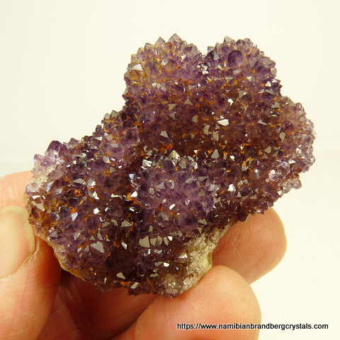 Amethyst quartz crystals on matrix