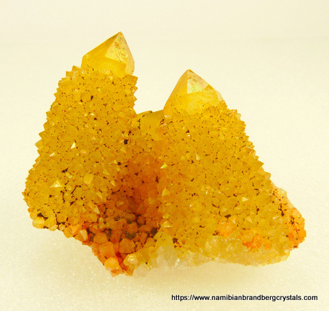Yellow cactus quartz crystal group