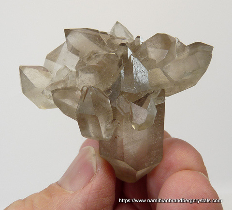 Beautiful smoky quartz floater specimen