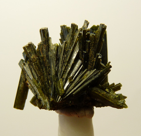 A delicate cluster of green epidote crystal
