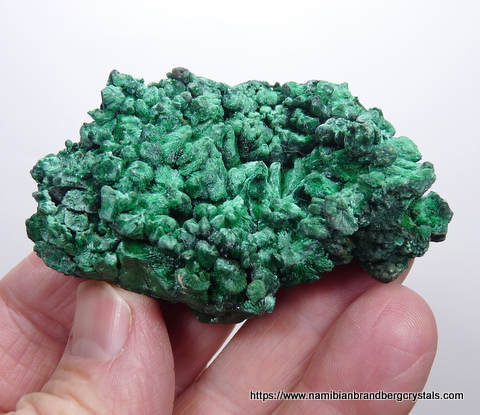 Botryoidal and fibrous malachite specimen