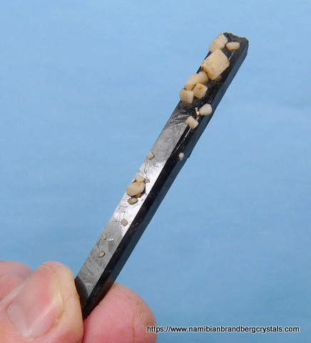 An aegirine crystal with small feldspar crystals on its surface